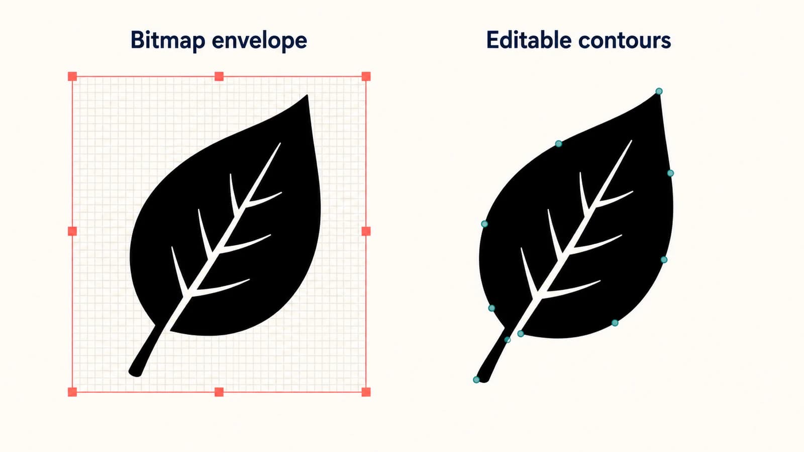 Conceptual comparison of a bitmap inside a rectangular vector envelope and editable control points on a leaf contour.