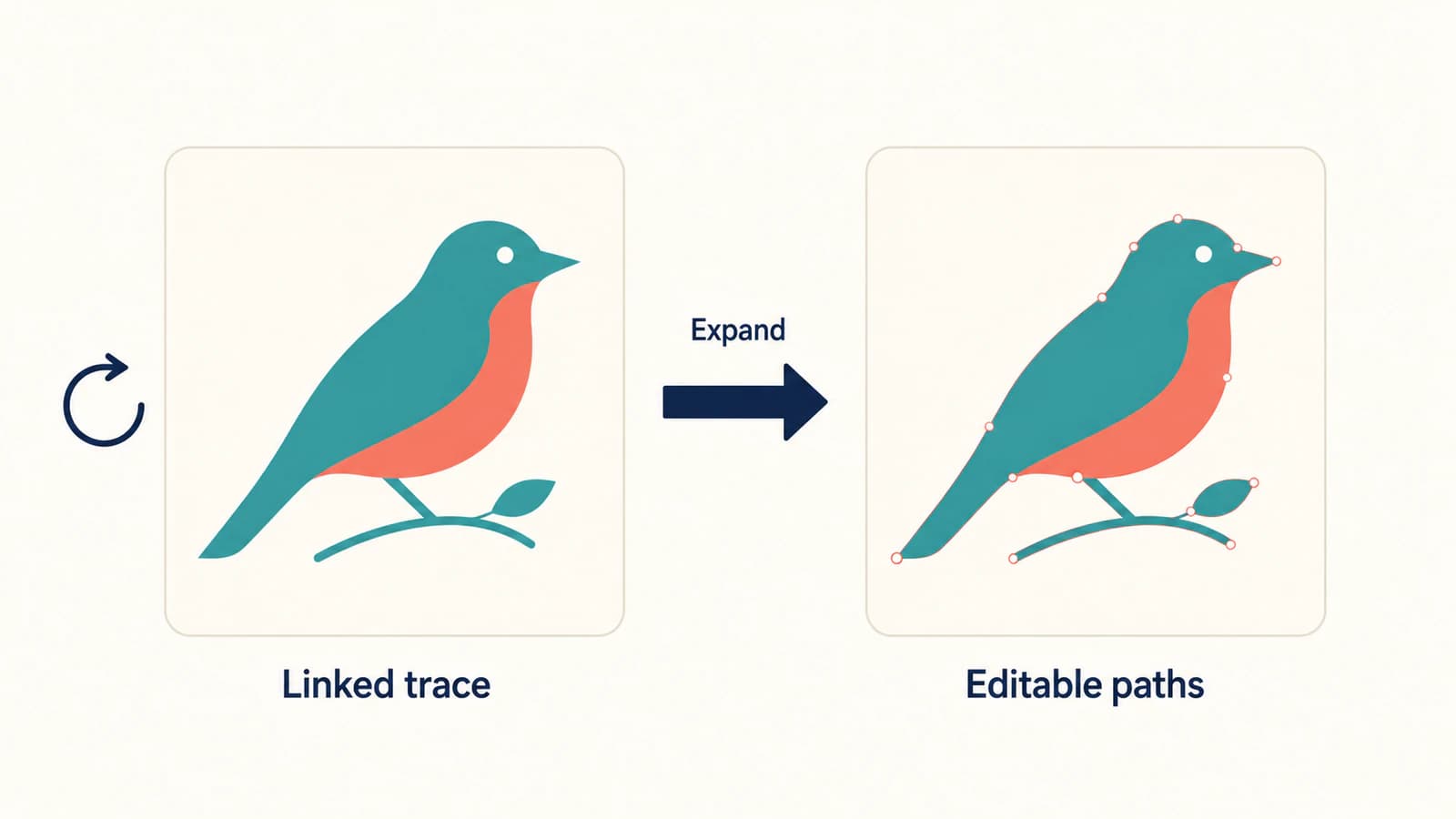 Conceptual diagram of a linked bird trace being expanded into visually matching editable vector paths.