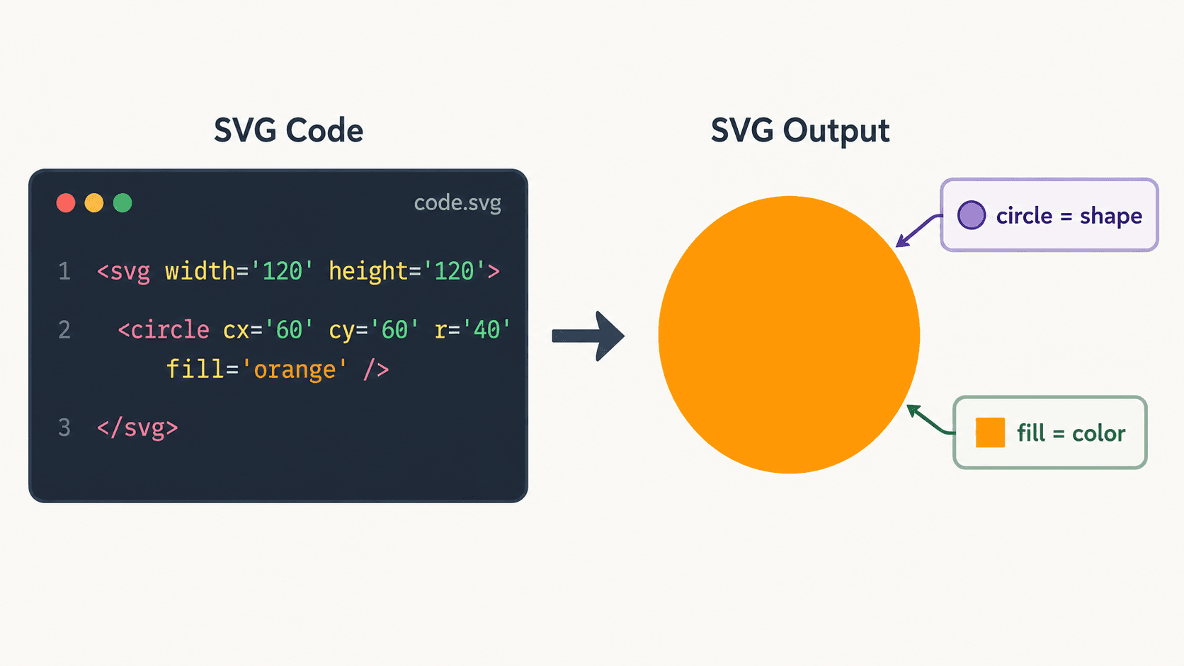 Un court extrait de code SVG à gauche et le cercle orange qu'il affiche à droite, montrant qu'un SVG est du code lisible qui décrit des formes