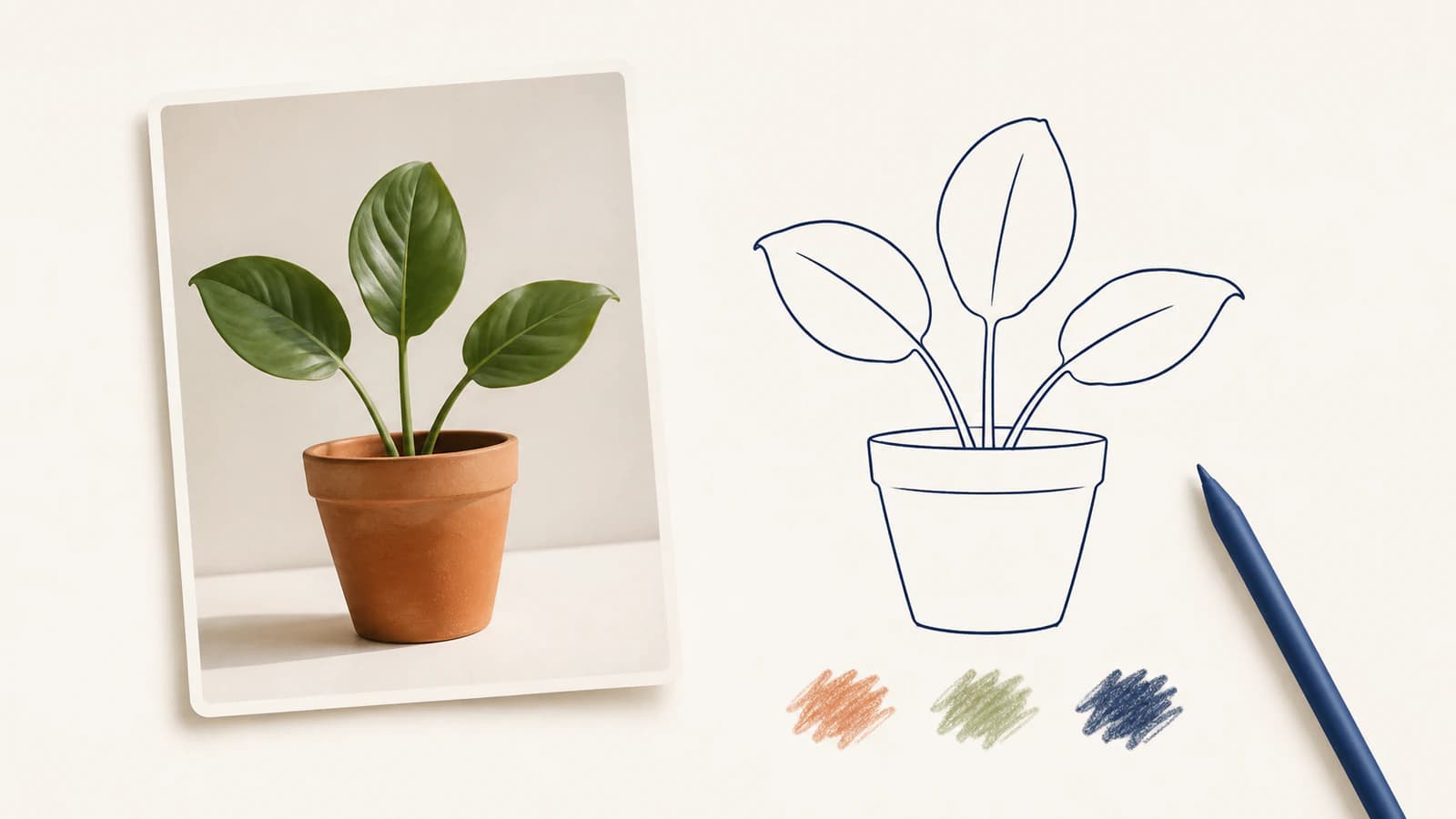 Conceptual illustration of a three-leaf plant photo beside a navy line drawing, a stylus, and textured color swatches