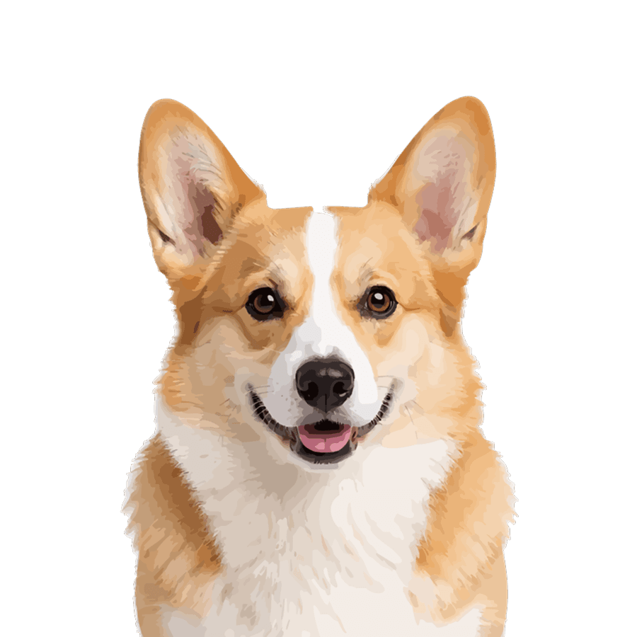 The traced result: a clean three-layer SVG portrait with merged fur colors and separate eye and nose shapes