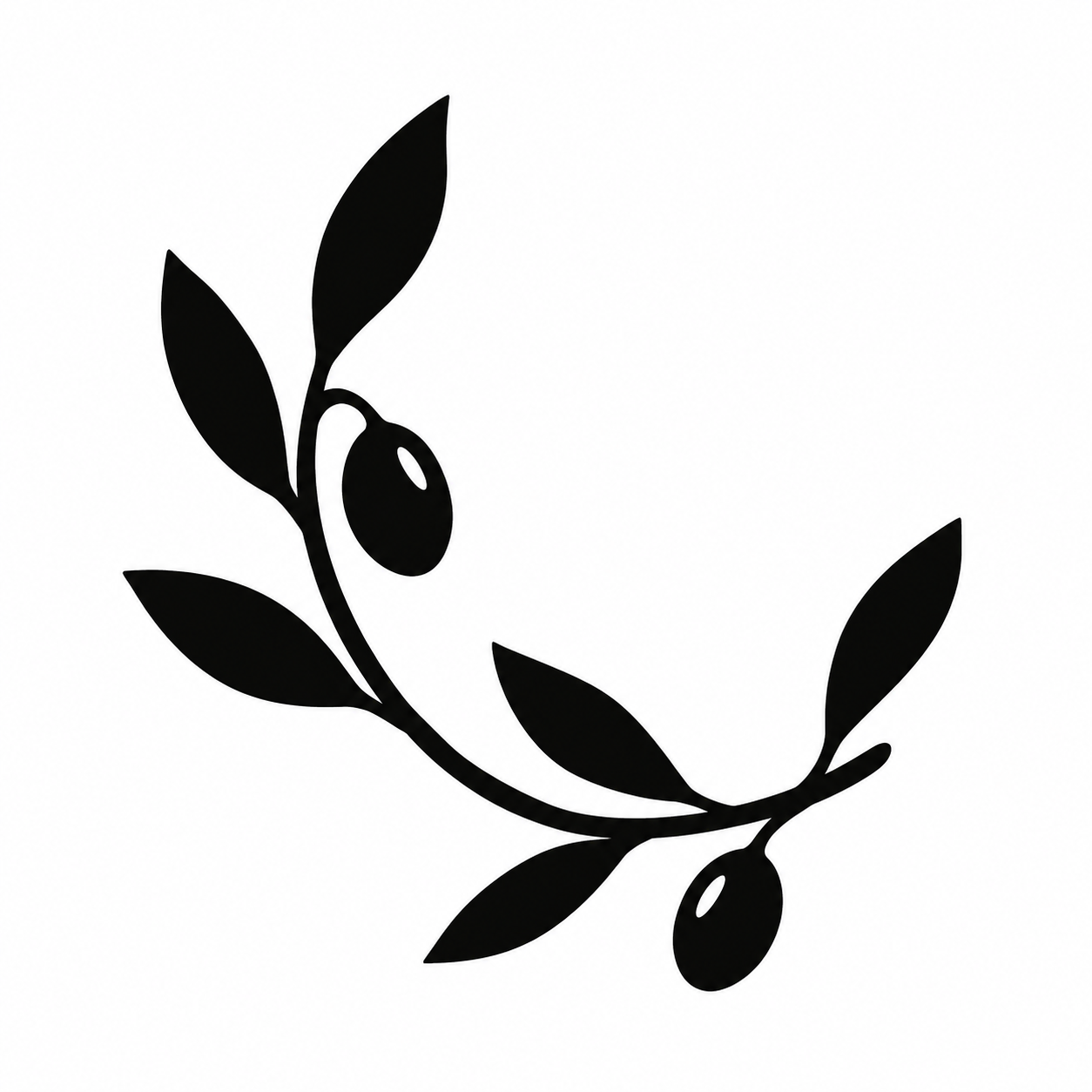 Original black olive sprig on white
